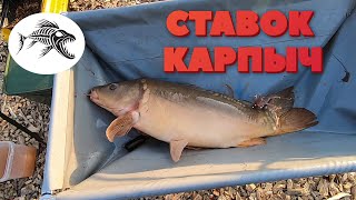 НОВЫЙ СТАВОК КАРПЫЧ КИРОВОГРАДСКАЯ ОБЛ СЕЛО СУБОТЦЫ