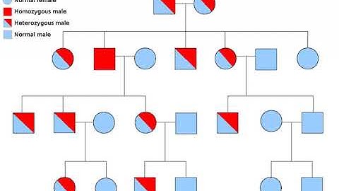 Heredity | Wikipedia audio article