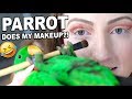 MY BIRD PICKS MY MAKEUP CHALLENGE!!! *disaster*