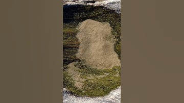 10 Minutes Relax - Puddle of sea water with sand on a rock on the beach #shorts