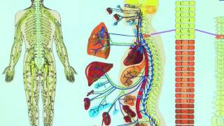 NJ State Doctor Glen Rock NJ
