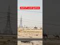కువైట్ ఎడారి లో ఒంటరి ప్రయాణం 😱#kuwait#gulf#desert#shorts #trending#viral