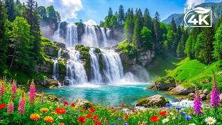Music to Heal the Soul 🍃 Relaxing Piano with Nature Sounds for Sleep and Refreshes The Soul #4 screenshot 5