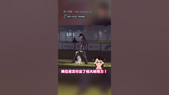 【台灣之光】台選手比「與狗共舞」 人狗默契配合奪第一！｜舞蹈｜狗｜默契｜比賽｜DSD