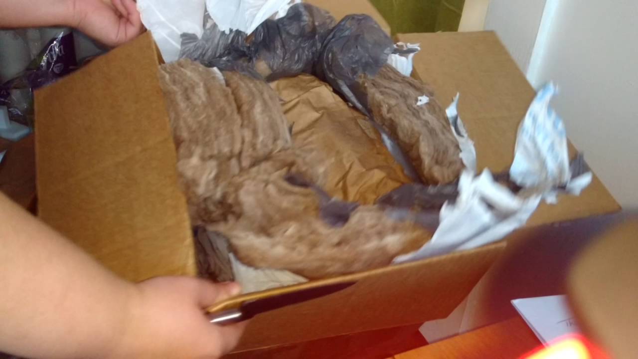 snake games Unboxing and Review of: Perfect Prey rodents / Snake food