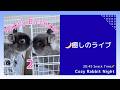 【癒しライブ】ウルフ&さつきお誕生日🎂ねむねむうさぎ定点 🌙 まったり夜時間|Cozy Rabbit Night (No Talk)