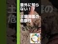 土壌消毒の危険性#家庭菜園 #農業 #土壌消毒#微生物
