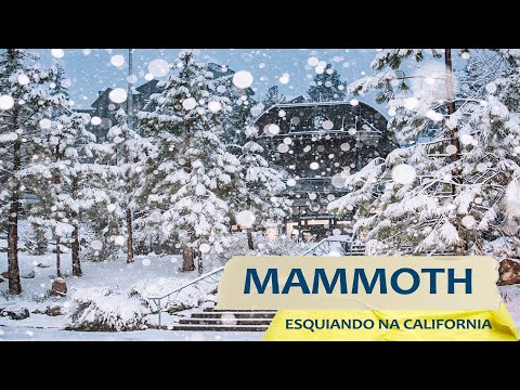 Vídeo: Cai neve na califórnia?