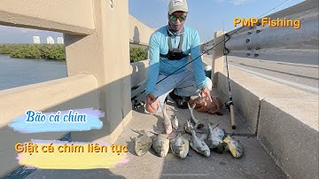 Câu cá chim biển đầu mùa. Giật cá liên tục trên cầu Newpass Florida| Pompano fishing.