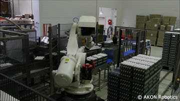 Egg Packaging Automation - Egg Tray Depalletizer with a Robot - AKE-500