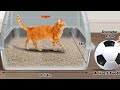 The Litter Box Upgrade You Didn’t Know You Needed! | SZEE Stainless Steel XL Review