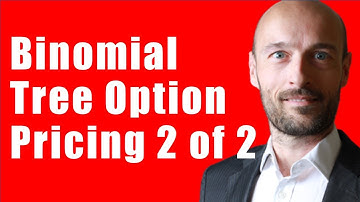 Pricing Options Using the Binomial Tree (Risk Neutral Valuation Approach)