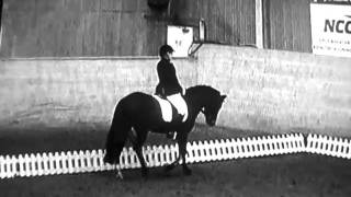 tomacs odessa dressyrfilm.wmv tomacs odessa dressyrfilm.wmv