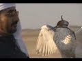 Dubai Falconry - Falcon Training - Sheikh Buti Bin Maktoum - Dubai UAE (part two)