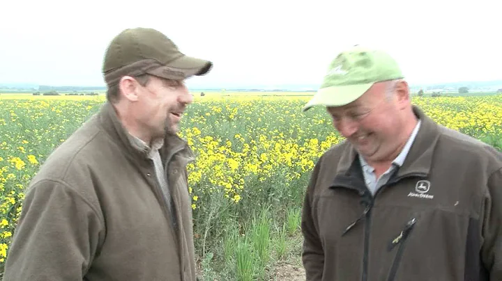 The Shooting Show - Pigeon shooting over rape