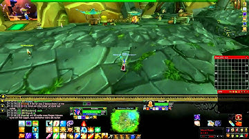 World of Warcraft - Interface