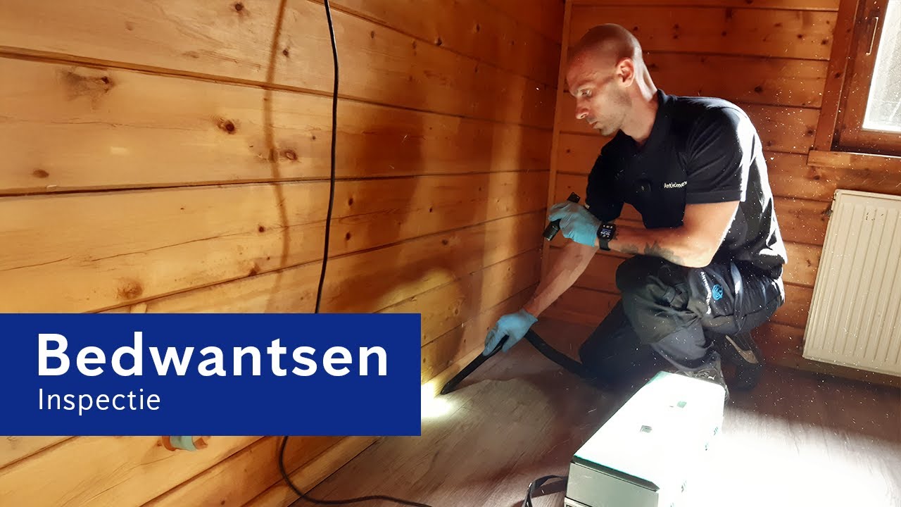 Bedwantsen inspectie uitgevoerd door Anticimex