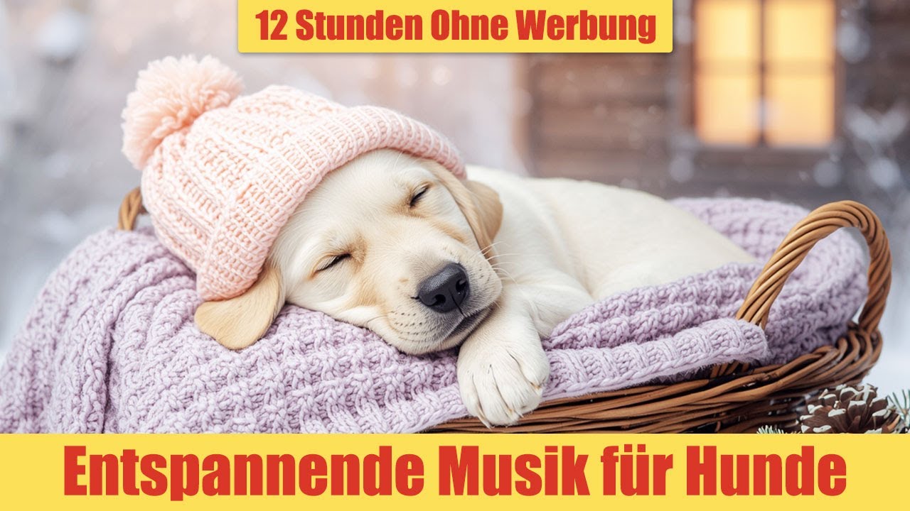 Entspannungsmusik für Hunde - 12 Stunden Ohne Werbung | Anti-Stress Musik_vol.20