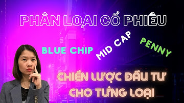 Cổ phiếu Blue Chip, Mid cap và Penny, chiến lược đầu tư để luôn chiến thắng.
