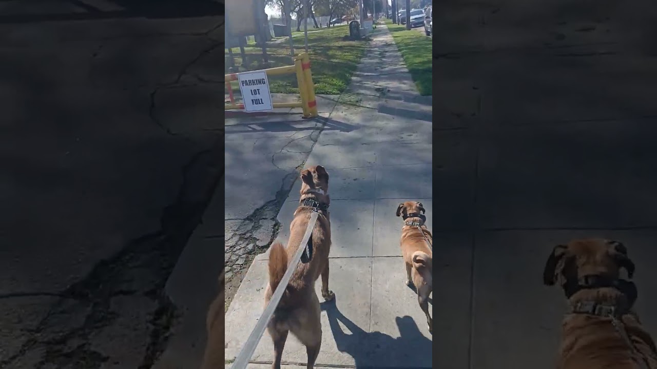 Through the alley down to the Park..(Mary Jane & Miss Dinky)