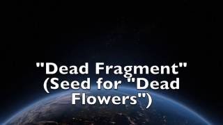 Dead Fragment - Kevin Sherwood chords