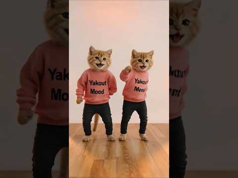 يا خلق لو هتناموا لا ثواني ماتناموش     فرح اللمبي و قنوعه القمة