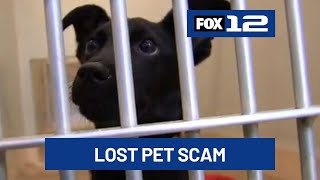 Hillsboro animal shelter warns of scam targeting pet owners