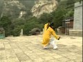 Wudang three treasures tai chi by master wang ping 