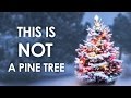 Identifying Coniferous Tree Features