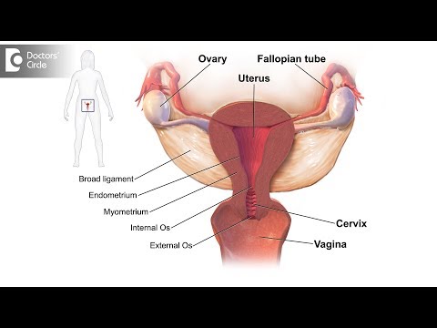 Video: Cum se verifică permeabilitatea trompelor uterine?