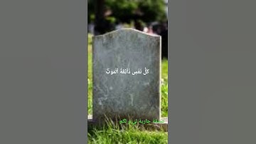 سورة العنكبوت.