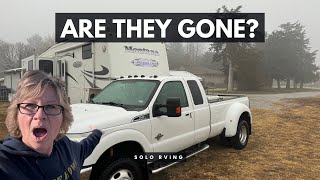 Are They Gone?! #solorver #solotravel #rving #rvlife