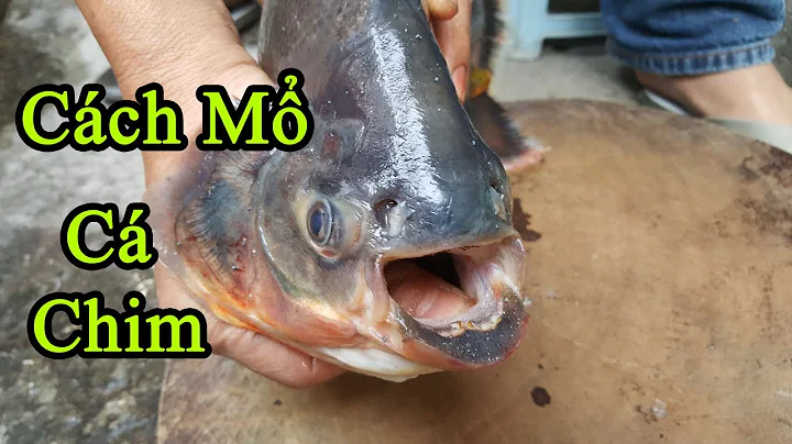Top 20 cách làm cá chim