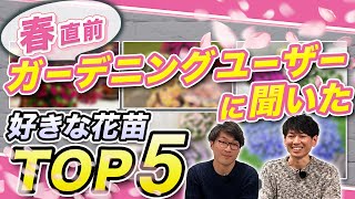 【春直前】好きなサントリーフラワーズの花苗ランキング！