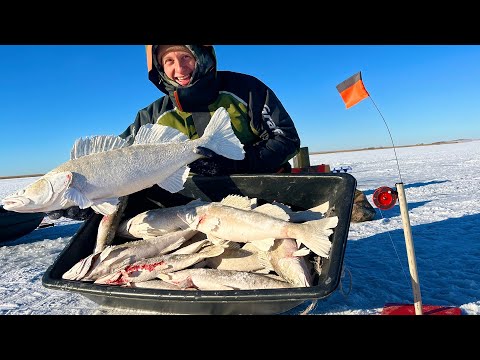 ОСОБО ВПЕЧАТЛИТЕЛЬНЫМ РЫБАКАМ НЕ СМОТРЕТЬ! Мясо на ГРИЛЕ и МНОГО РЫБЫ! Рыбалка с НОЧЕВКОЙ на СУДАКА!
