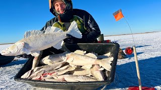 ОСОБО ВПЕЧАТЛИТЕЛЬНЫМ РЫБАКАМ НЕ СМОТРЕТЬ! Мясо на ГРИЛЕ и МНОГО РЫБЫ! Рыбалка с НОЧЕВКОЙ на СУДАКА!