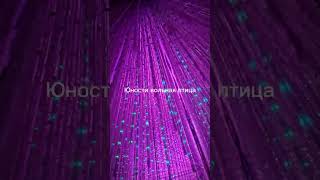 Место, которое достойно, чтобы его оставить в ленте