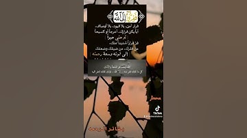 ففروا الى الله اني لكم منه نذير مبين#قران #قران_كريم #quran #تلاوات #تلاوة_خاشعة #القارئ_