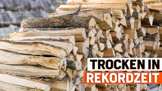 Brennholz schnell trocknen – mit diesen Tipps klappt es in Rekordzeit