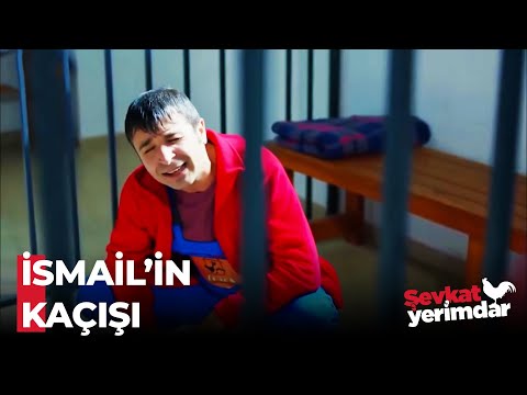 Prison Break İsmail - Şevkat Yerimdar