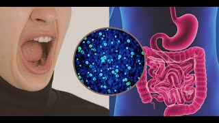 The Natural Path To Strong Gums And A Healthy Gut   Dr Steven Lin