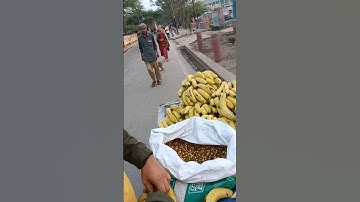 Daily seva in sri vrindavan dham