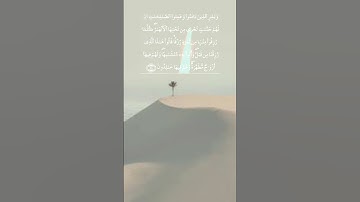 سورة البقرة | وديع اليمني | تلاوة هادى | تلاوة خاشعة | تلاوة جميلة