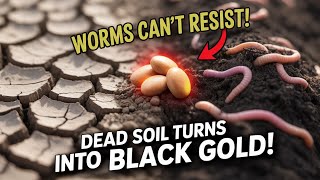 Soaked Seed Hack Makes Worms Crawl From Yards Away and Makes Soil Become Black Gold FAST!