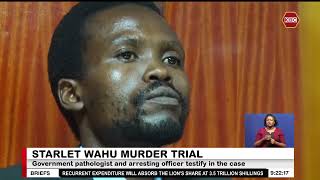 Download Lagu Starlet Wahu Murder Case I Samples collected in the apartment matched those of Wahu MP3