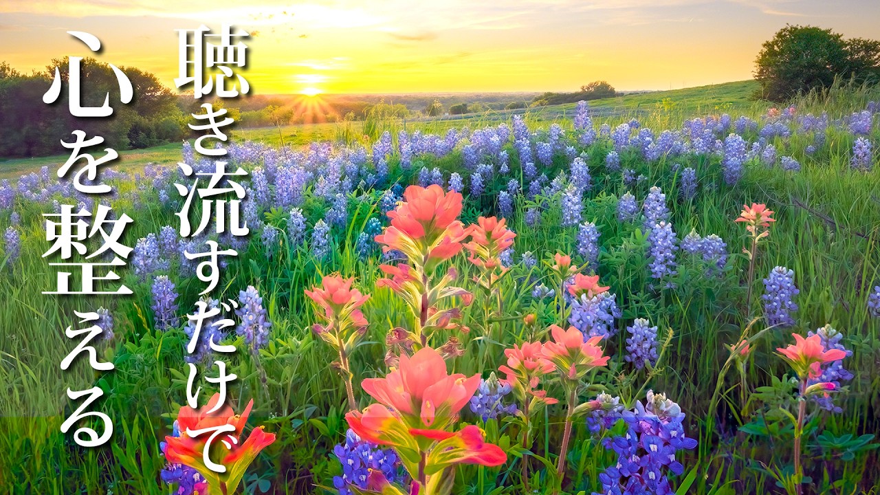 自律神経を整えるための優しい音楽 ～ 聞き流すだけで心の痛みを和らげる癒しピアノBGM