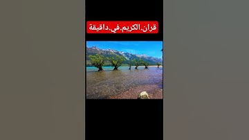 سورة.البقرة.ريان.المحيسني. #اكسبلور #quran #المصحف #nature #flowers #duet #راحة_نفسية #لايك #ترند