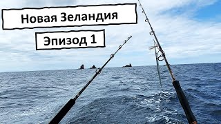 видео: Новая Зеландия. Первая серия. Яхтинг, рыбалка, острова картинка: Новая Зеландия. Первая серия. Яхтинг, рыбалка, острова