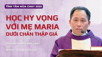 Học hy vọng với Mẹ Maria dưới chân Thập giá - Lm Giuse Bùi Quang Minh, SJ