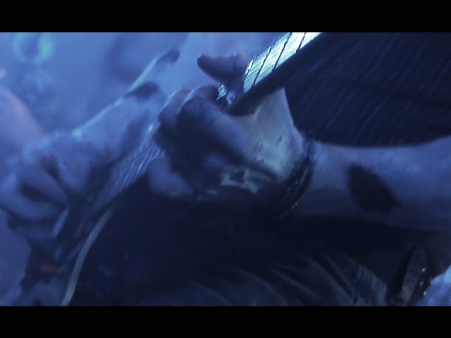 YouTube에서 PUNISH YOURSELF- WORMS- Black sun/white noise tour 2015 보기 YouTube에서 PUNISH YOURSELF- WORMS- Black sun/white noise tour 2015 보기